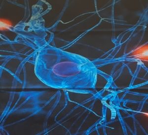 Buff/Mask - Head&Neck Wear - Unisex design